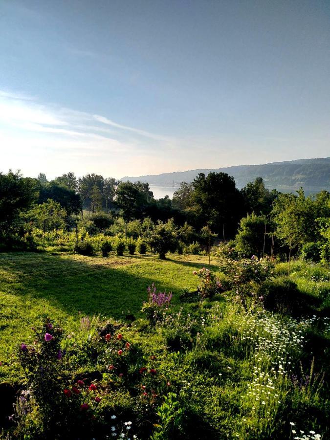 Seenah - Ihre Wohnung Am Bodensee / Untersee 가이엔호펜 외부 사진